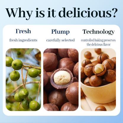 Mr. Squirrel® Premium Macadamia Nuts