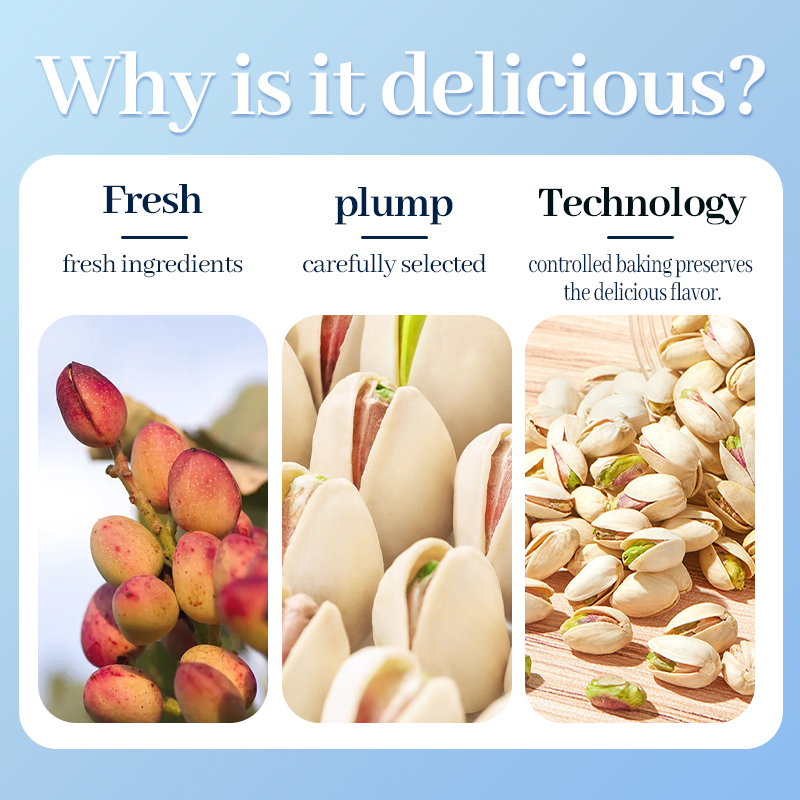 Mr. Squirrel® Salted Roasted Pistachio Nuts (In Shell)