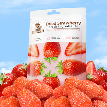 Mr. Squirrel® Organic Dried Strawberries