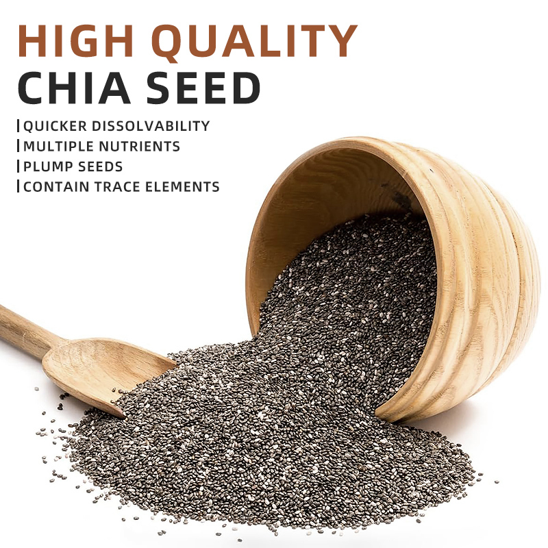Mr. Squirrel® Organic Chia Seeds-Individual Stick Packs