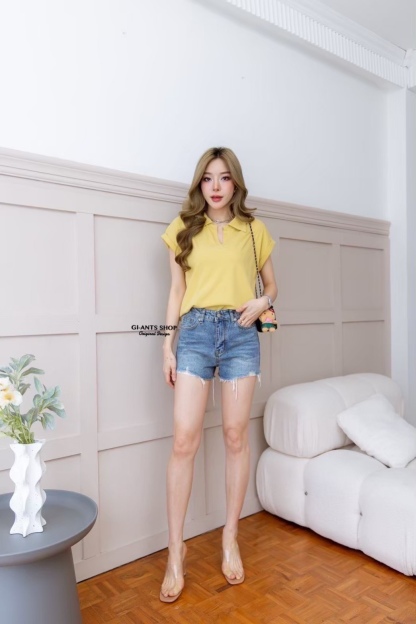 A110 Collar Vneck Top 