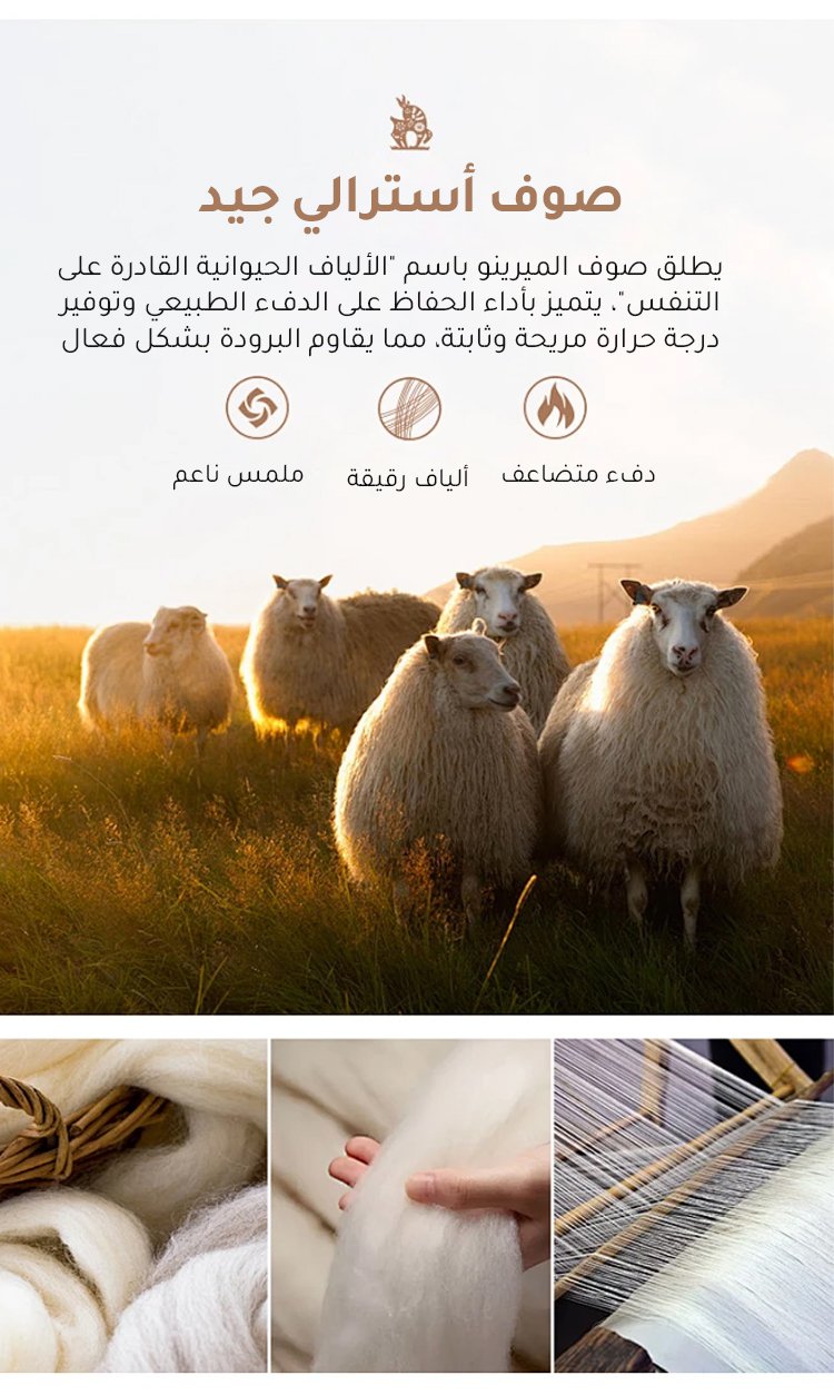 تصميم عصري لحذاء كاجوال شتوي