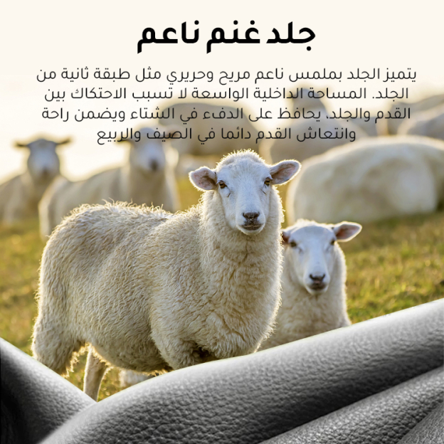 Healthy-foot حذاء راقي من جلد غنم مريح بكعب ويدج للنساء -healthy-foot