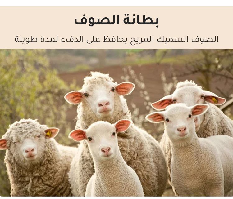 حذاء فلايكنت مبطن بالصوف بجودة عالية