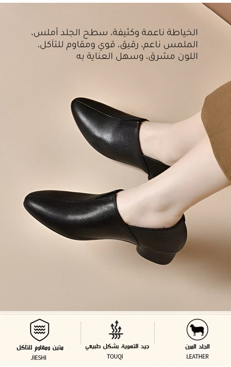 تصميم عصري لحذاء نسائي بكعب منخفض