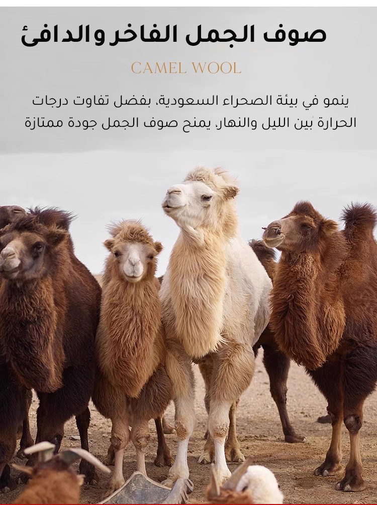 تصميم عصري لحذاء كاجوال ببطانة طبيعية