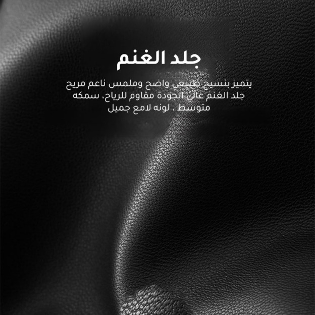 Healthy-foot حذاء نسائي عصري بمقدمة مدببة وشبكية، مزين بأحجار لامعة على شكل زهور رائعة، كعب منخفض بـ 3 سم يوفر راحة أكبر عند المشي، وموديل كلاسيكي لا يعرف الموضة -healthy-foot