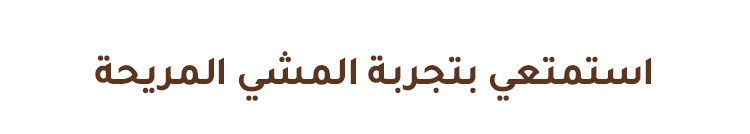 حذاء معتق أنيق للمناسبات اليومية