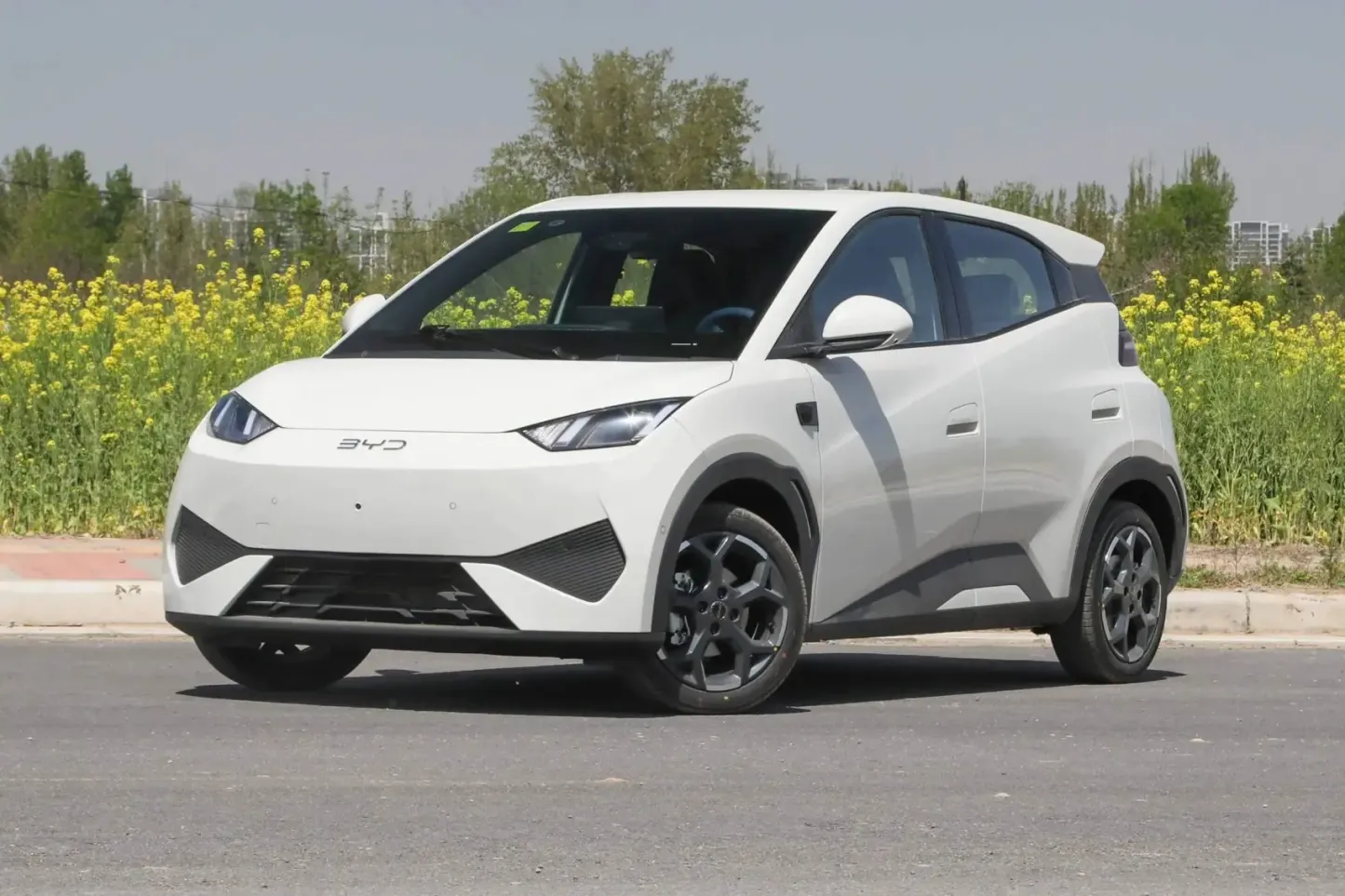 2025 BYD Seagull Smart Driving 305km 405km EV Cars New Energy Vehicles Mini Automobile