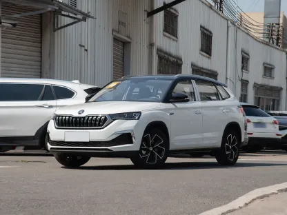 2025 Skoda Karoq New Cars GT 1.5L 109hp L4 Automatic 5-door 5-seat SUV Gasoline Vehicles