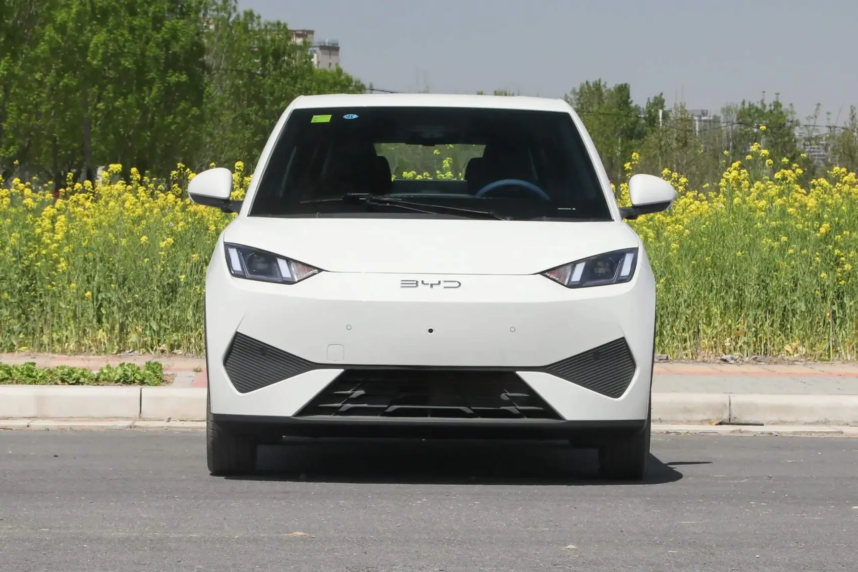 2025 BYD Seagull Smart Driving 305km 405km EV Cars New Energy Vehicles Mini Automobile