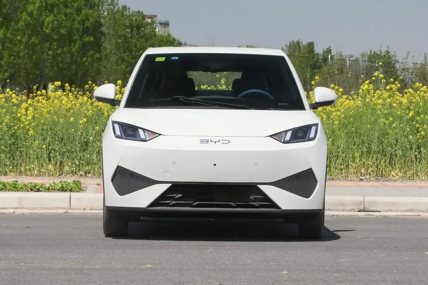 2025 BYD Seagull Smart Driving 305km 405km EV Cars New Energy Vehicles Mini Automobile