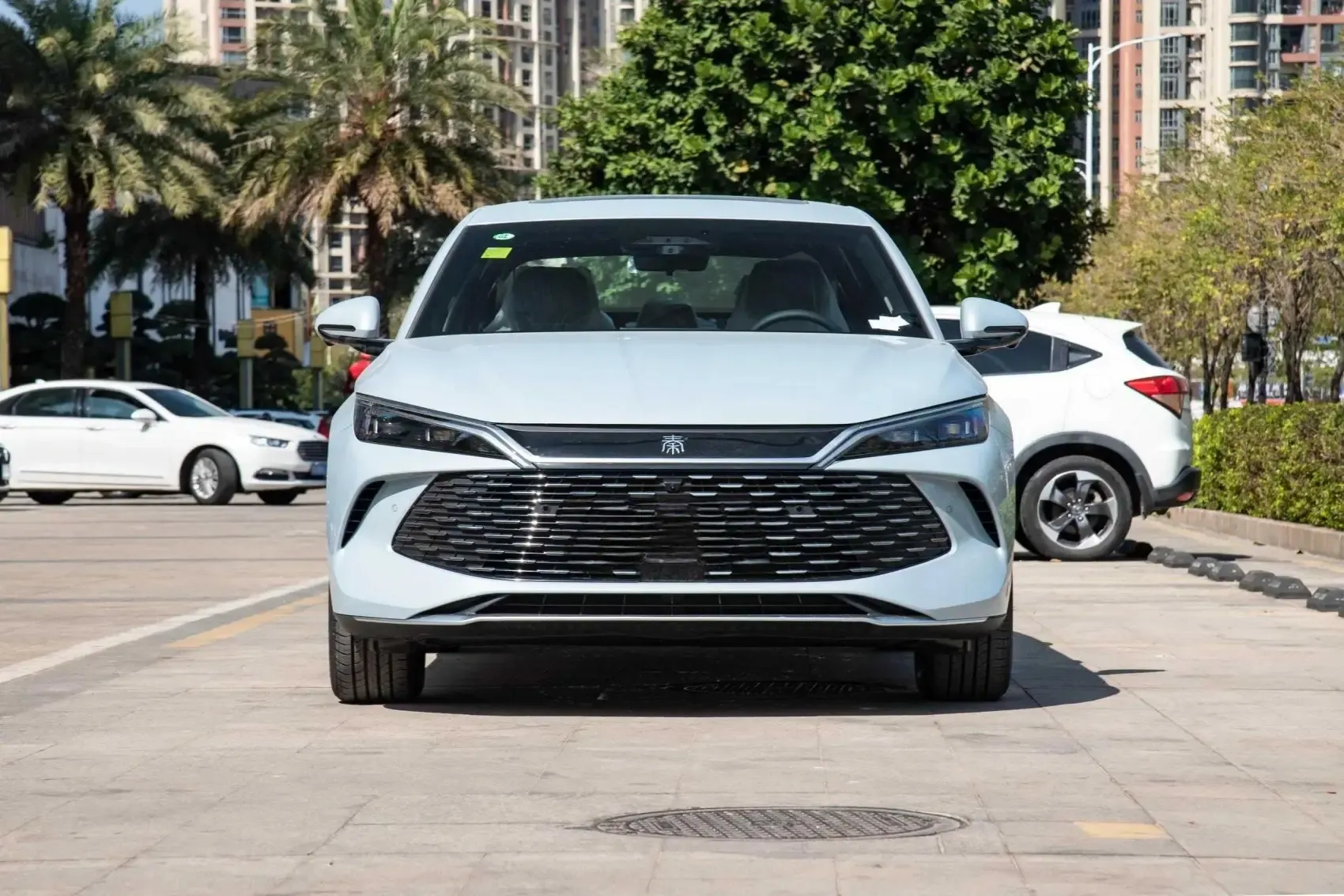 2025 Qin L 80km 120km 470km 545km EV Cars New and Used Car Chinese Electric Vehicle