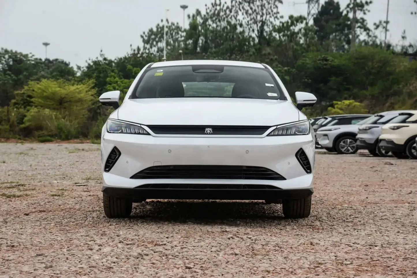 2023 2025 Qin PLUS EV New and Used Vehicles Byd Pure Electric Cars 420km 510km Compact Autos