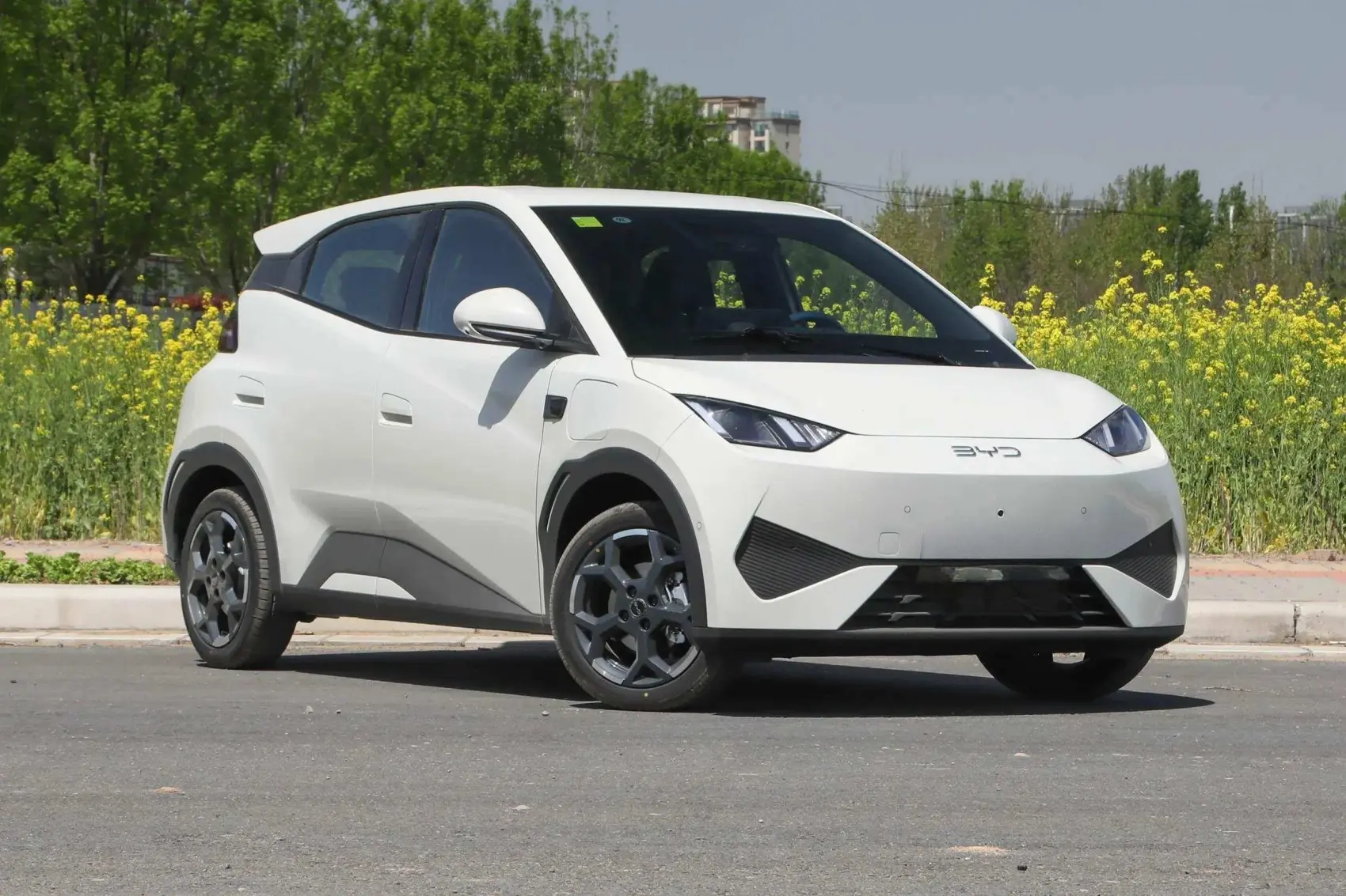 2025 BYD Seagull Smart Driving 305km 405km EV Cars New Energy Vehicles Mini Automobile