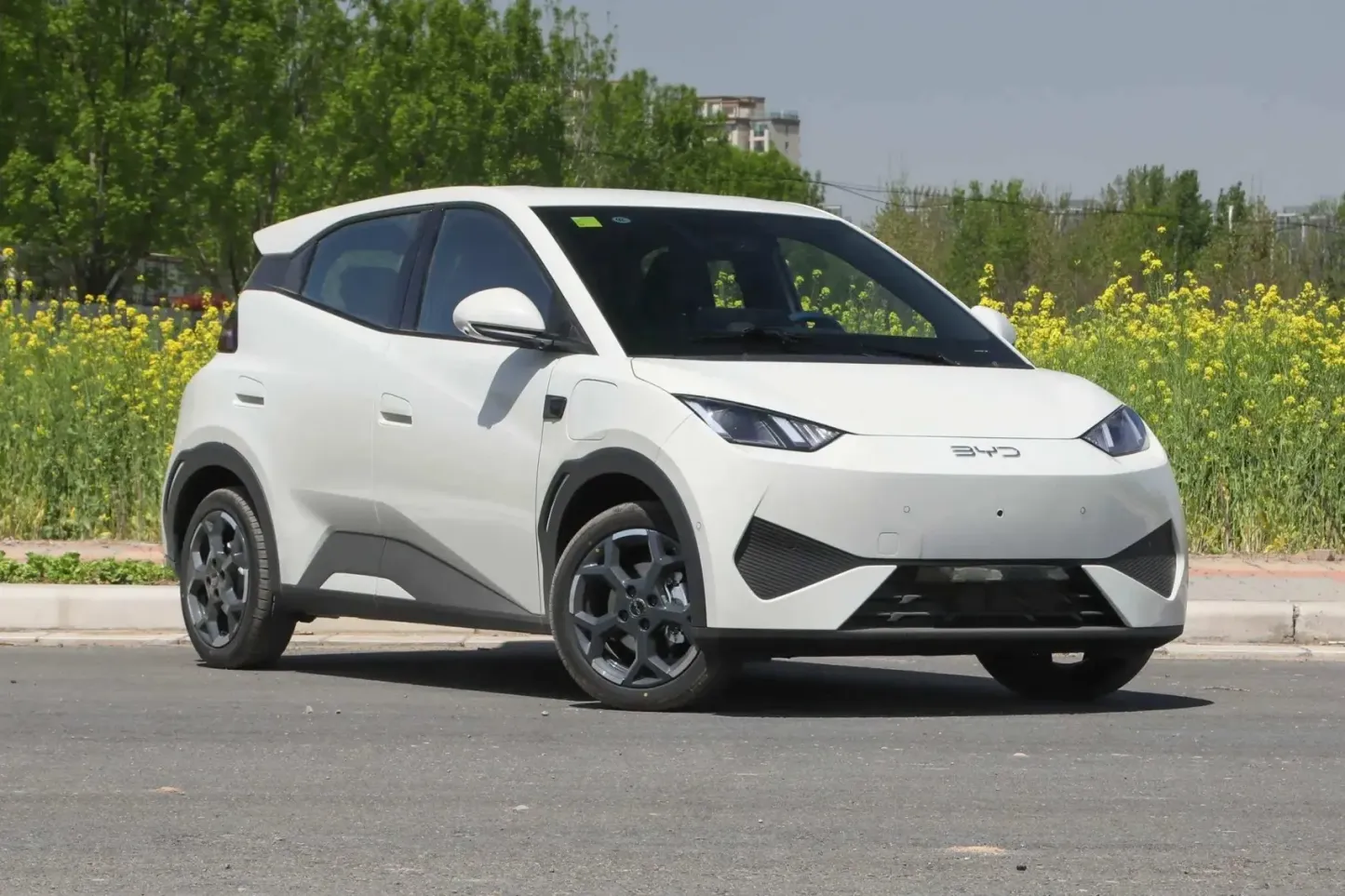 2025 BYD Seagull Smart Driving 305km 405km EV Cars New Energy Vehicles Mini Automobile