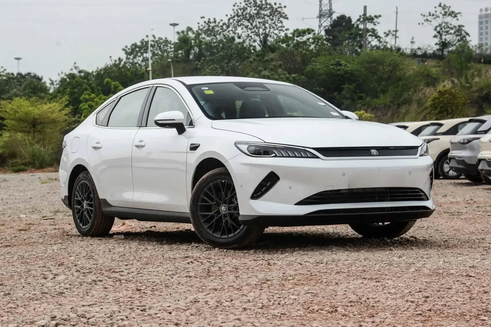 2023 2025 Qin PLUS EV New and Used Vehicles Byd Pure Electric Cars 420km 510km Compact Autos