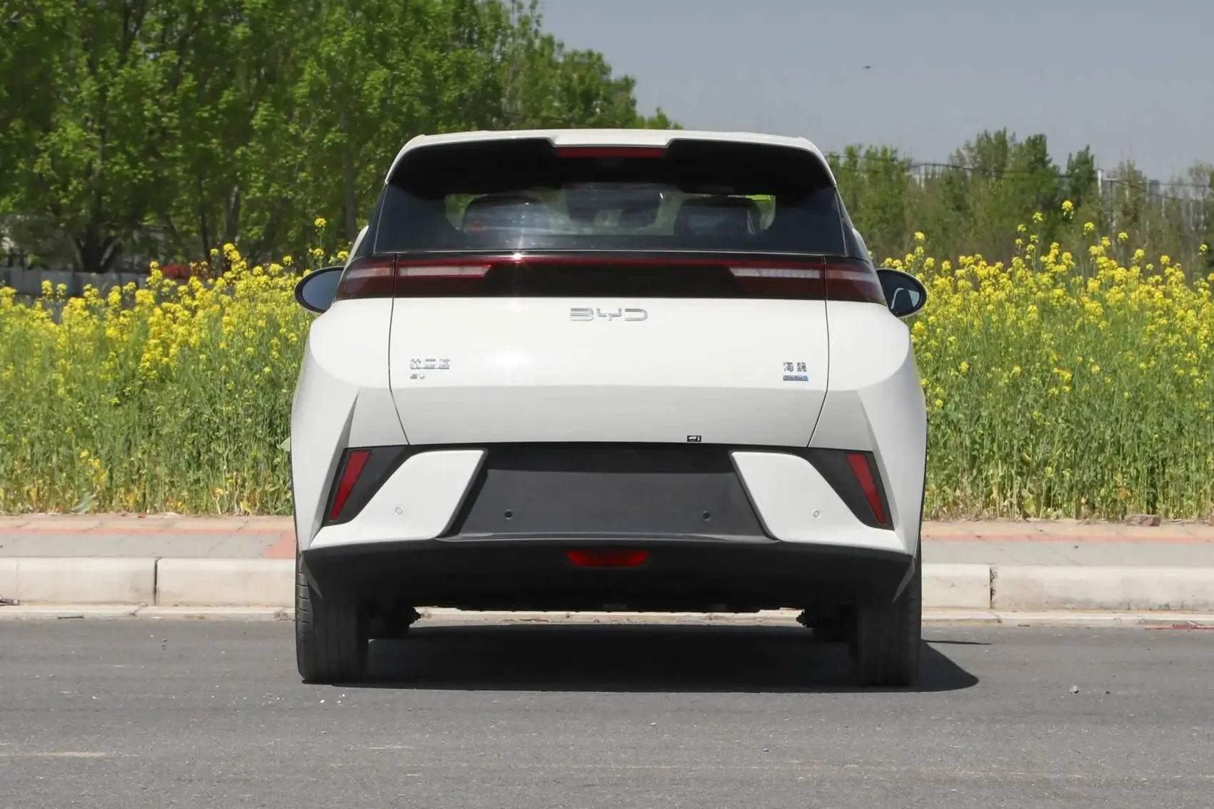 2025 BYD Seagull Smart Driving 305km 405km EV Cars New Energy Vehicles Mini Automobile