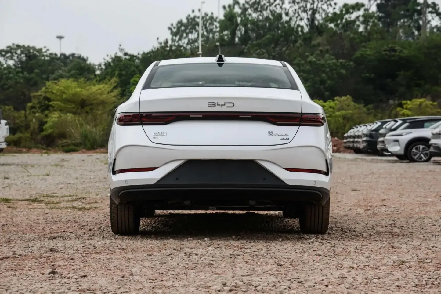 2023 2025 Qin PLUS EV New and Used Vehicles Byd Pure Electric Cars 420km 510km Compact Autos