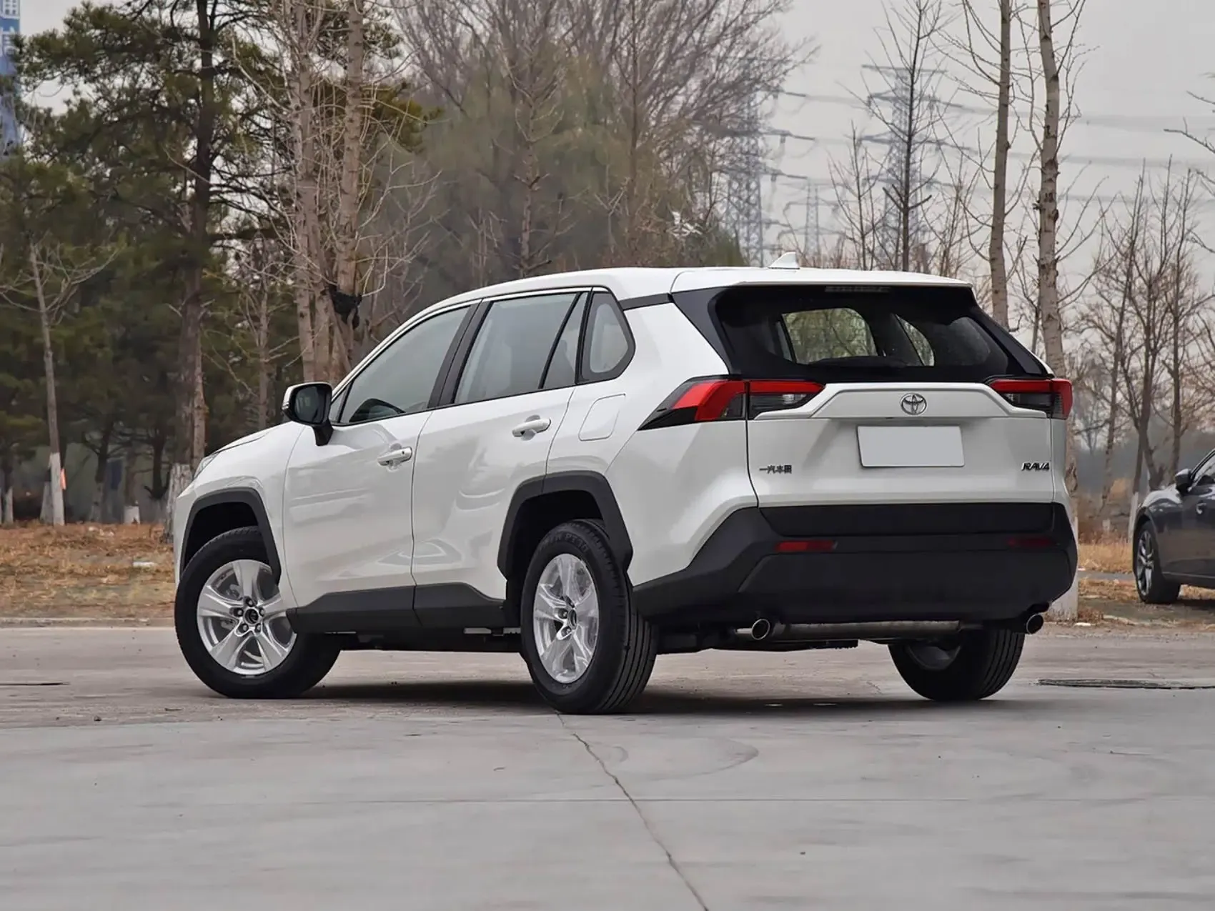 2020 Toyota RAV4 2.0L CVT 2.5L E-CVT Used Cars Compact SUV Pre-owned Vehicle Rongfang