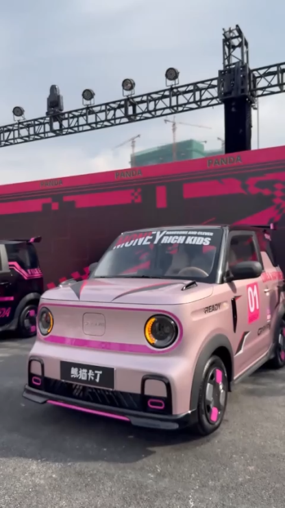 2024 2025 Panda Mini Automotive New Energy Vehicles Electric Car Small Ev Car