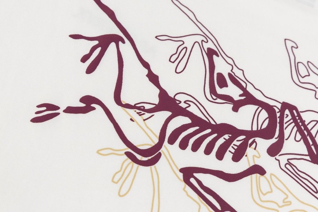 ARC’TERYX＊プリントロゴグラフィック 24SS Tシャツ ユニセックス