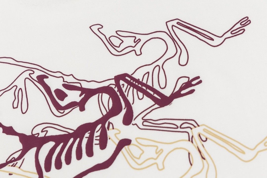 ARC’TERYX＊プリントロゴグラフィック 24SS Tシャツ ユニセックス