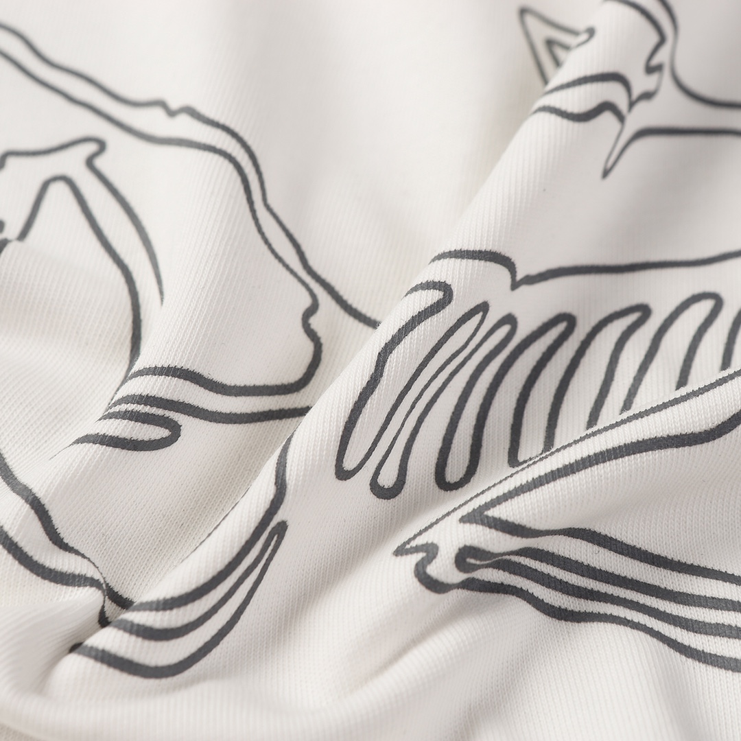 ARC’TERYX＊プリントロゴグラフィック 24SS TEE 売れ筋