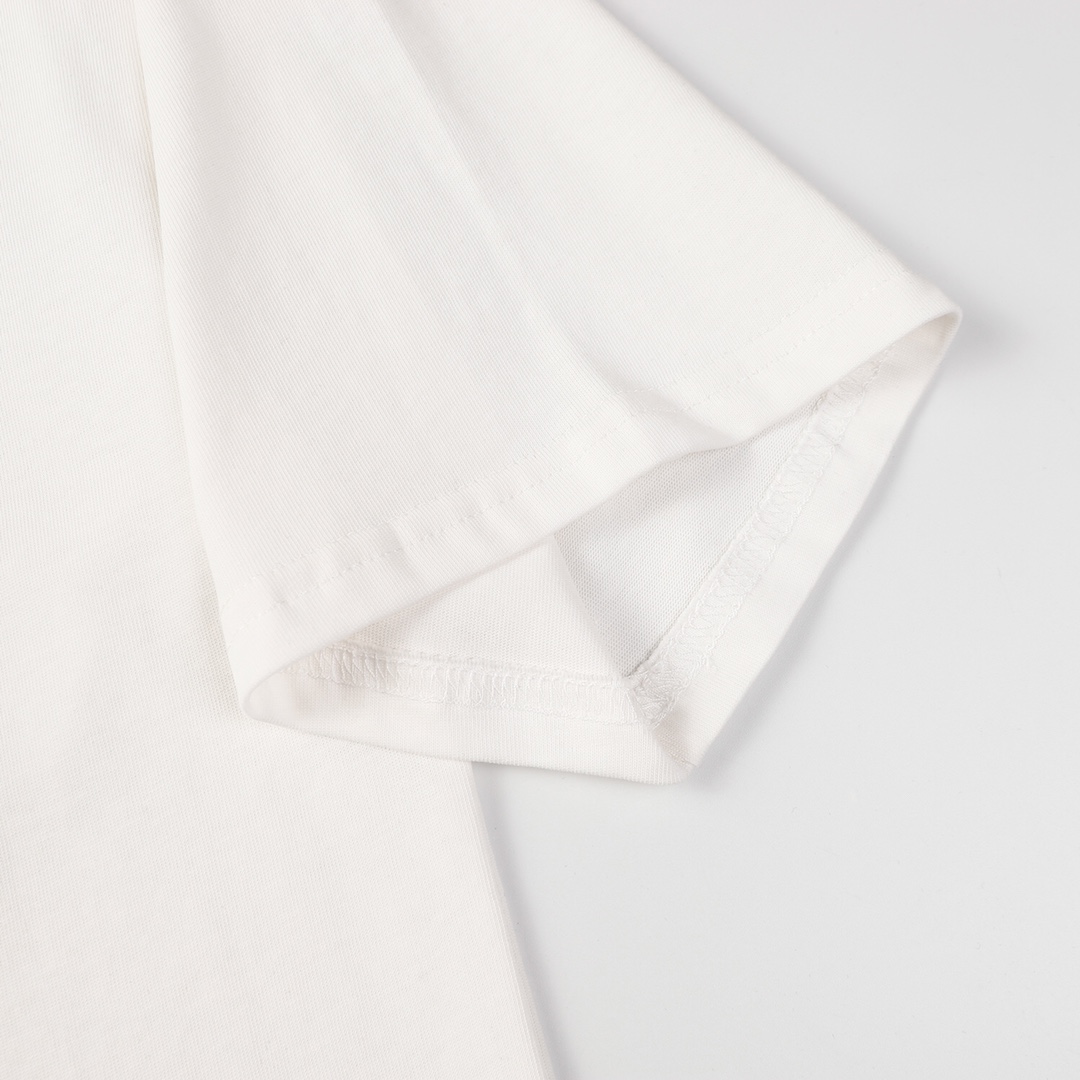 ARC’TERYX＊ロゴグラフィック ENVOY BIRDMARK T-SHIRT 24SS Tシャツ