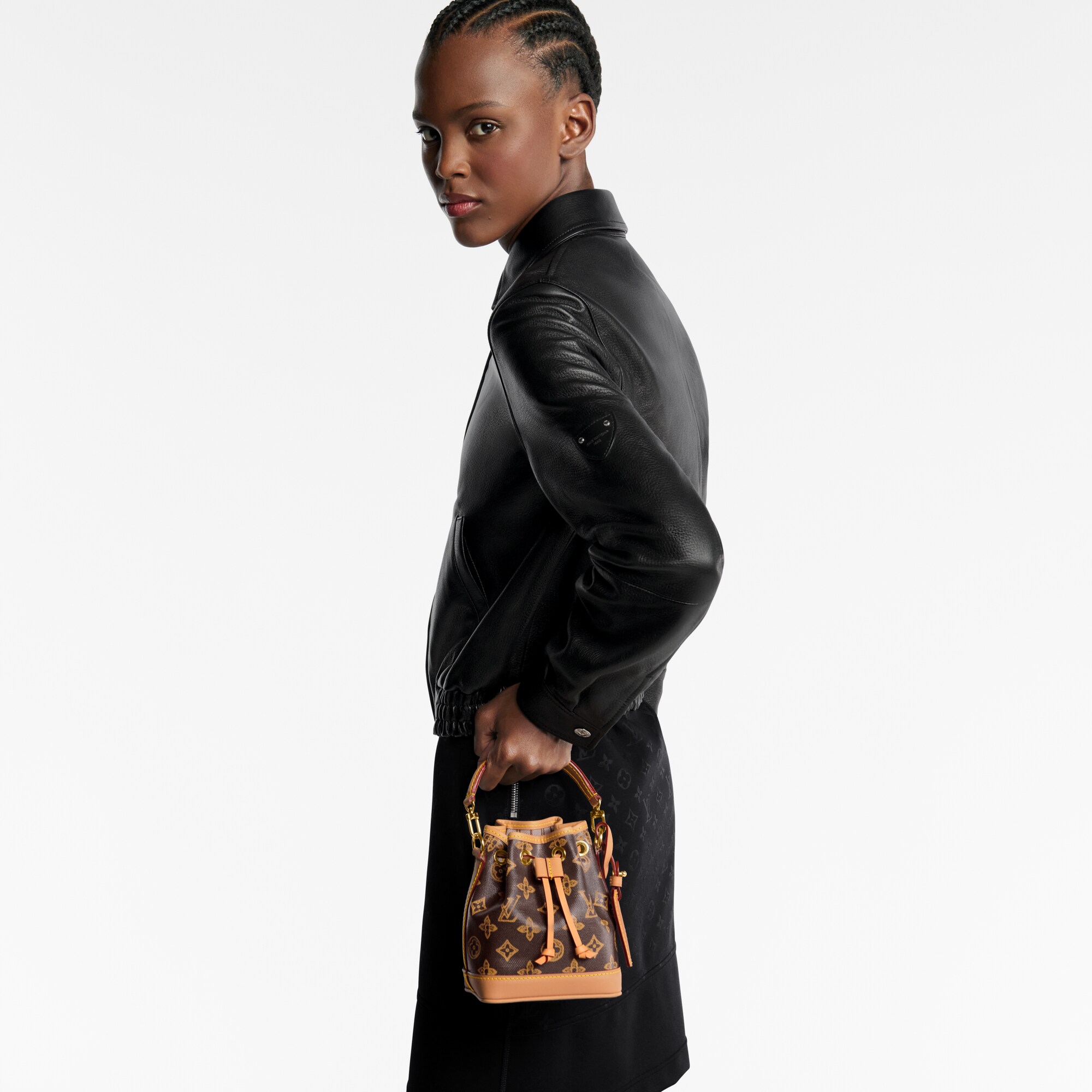 LV ルイ・ヴィトン ナノノエ - M27699 ブラウン