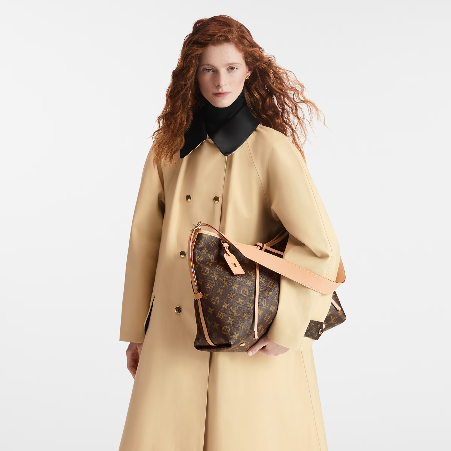 【Louis Vuitton】キャリーオール NM MM M46197