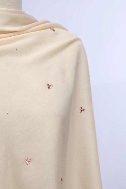 Bawal Warisan Mickey (25)