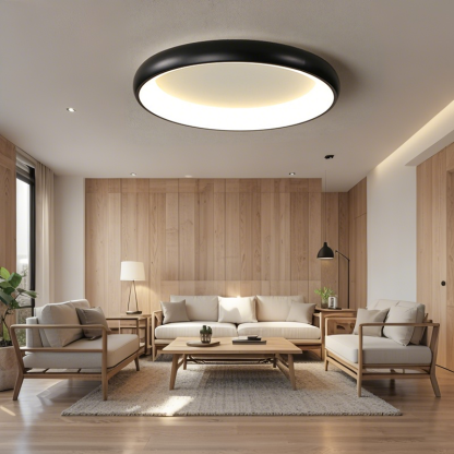 LED シーリングライト 6畳 8畳 10畳 調光調色 リモコン付き 子供部屋 常夜灯 引掛け対応 工事不要 照明器具 照明 電気 シンプル 可愛い 室内照明 台所 キッチン 幼稚園 学校 子供用 寝室 リビング ダイニング ベッドルーム