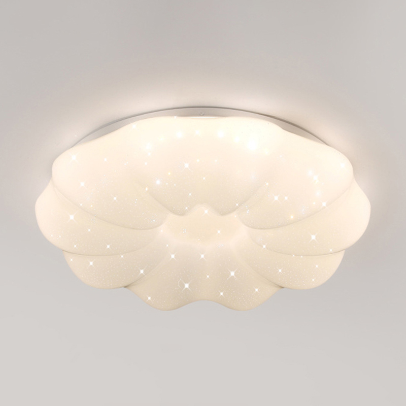 LED シーリングライト 4畳 6畳 調光調色 花 リモコン付き おしゃれ 子供部屋 常夜灯 引掛け対応 工事不要 照明器具 照明 電気 シンプル 可愛い 室内照明 台所 キッチン 幼稚園 学校 子供用 寝室 リビング ダイニング ベッドルーム