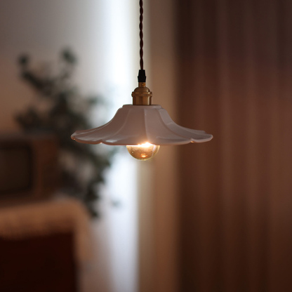 ペンダントライト 北欧 ダイニング 磁器 陶器 アイアン 金属 おしゃれ 1灯 口金E26 LED対応 モダン シンプル 照明 天井照明 シェードランプ 玄関 リビング 寝室 洗面所 居間用 キッチン 簡単取付 引掛けシーリング おしゃれ ダクトレール