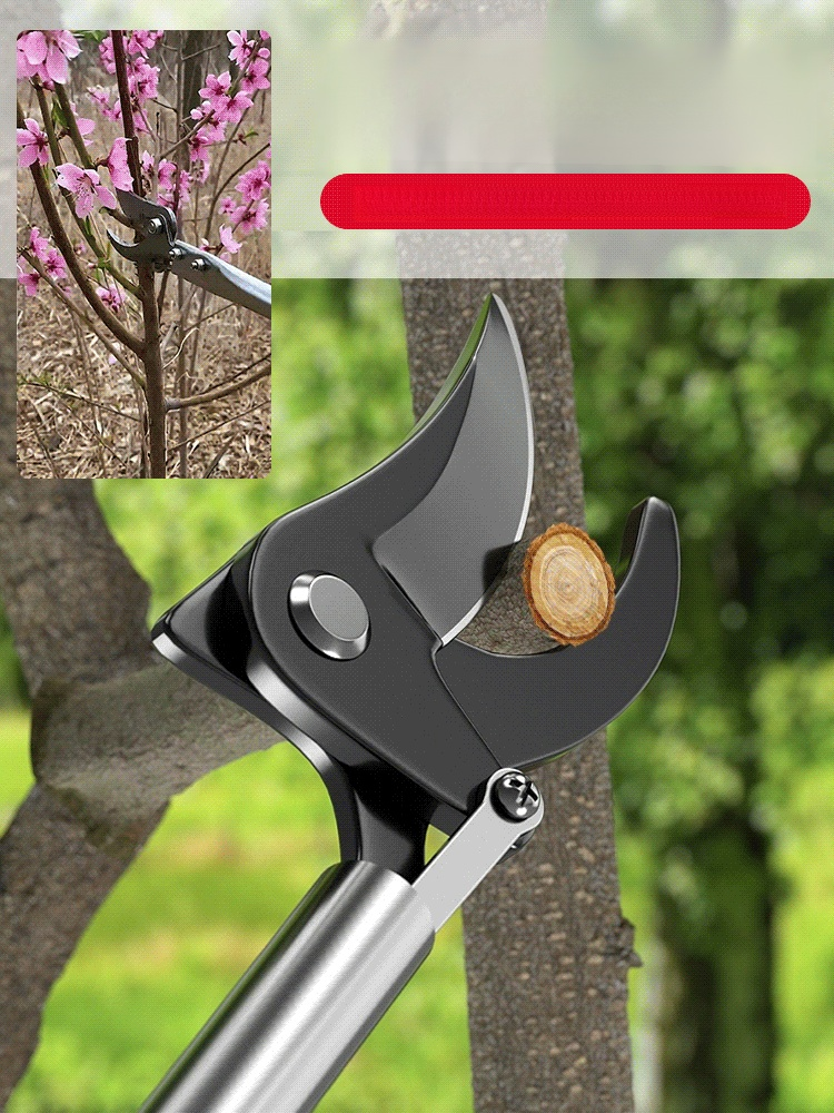 ด้ามยาวมาก ตัดกิ่งไม้สูงๆสะดวก ไม่ต้องไปจ้างเขา รรไกรตัดกิ่งไม้ด้ามยาวสำหรับชาวสวน กรรไกรตัดกิ่งสูง แบบดึงเก็บได้ คมมาก แข็งแรง น้ำหนักเบา สำหรับงานตัดกิ่ง เก็บผลไม้