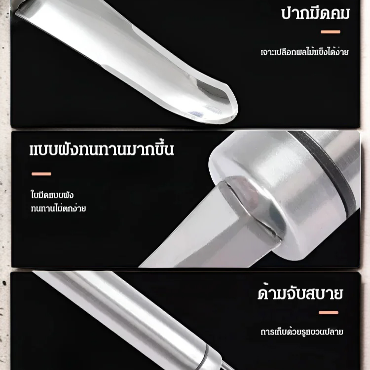 ที่คว้านเม็ดลำไยสแตนเลสอเนกประสงค์