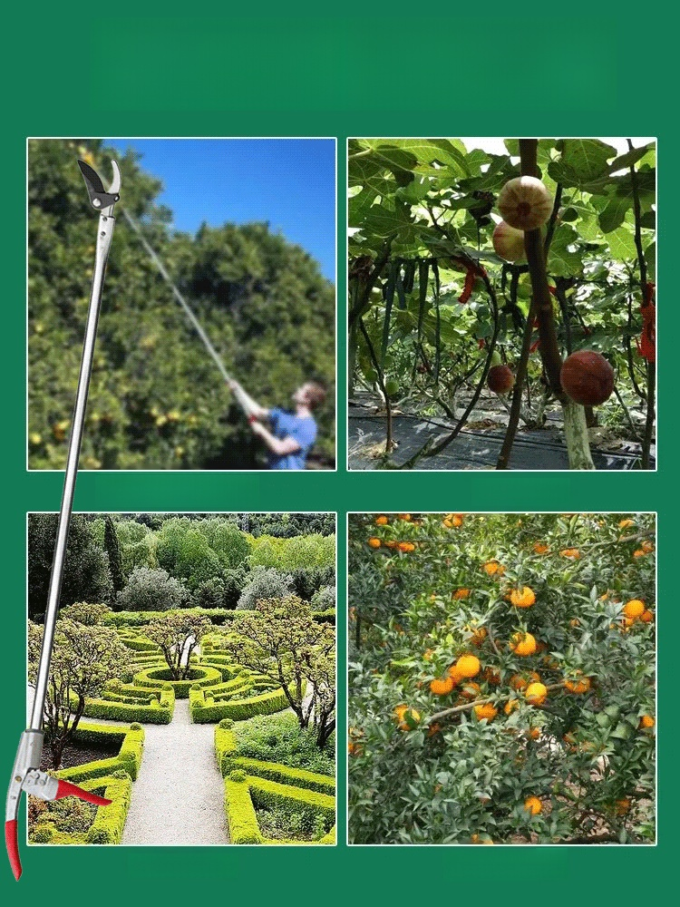 ด้ามยาวมาก ตัดกิ่งไม้สูงๆสะดวก ไม่ต้องไปจ้างเขา รรไกรตัดกิ่งไม้ด้ามยาวสำหรับชาวสวน กรรไกรตัดกิ่งสูง แบบดึงเก็บได้ คมมาก แข็งแรง น้ำหนักเบา สำหรับงานตัดกิ่ง เก็บผลไม้