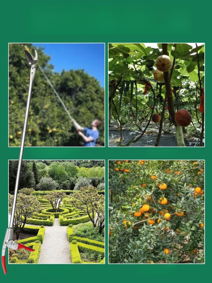 ด้ามยาวมาก ตัดกิ่งไม้สูงๆสะดวก ไม่ต้องไปจ้างเขา รรไกรตัดกิ่งไม้ด้ามยาวสำหรับชาวสวน กรรไกรตัดกิ่งสูง แบบดึงเก็บได้ คมมาก แข็งแรง น้ำหนักเบา สำหรับงานตัดกิ่ง เก็บผลไม้