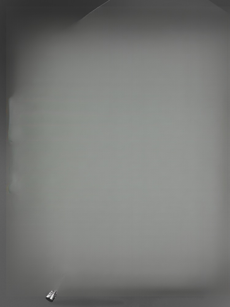 Close Combat Weapon: Telescopic Dog-Beating Staff / Trekking Pole