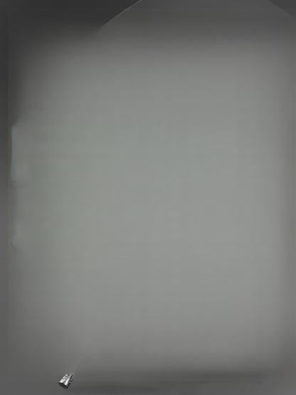 Close Combat Weapon: Telescopic Dog-Beating Staff / Trekking Pole