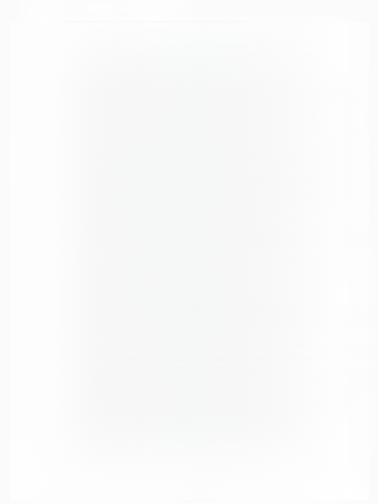 Universal car snow chains