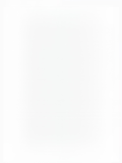 Universal car snow chains