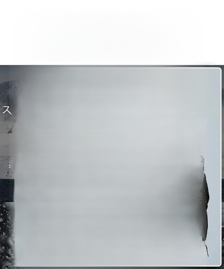 Universal car snow chains