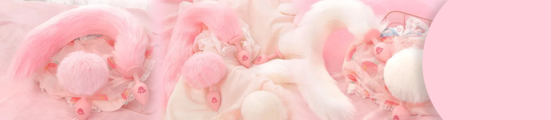 ปลั๊กทวาร