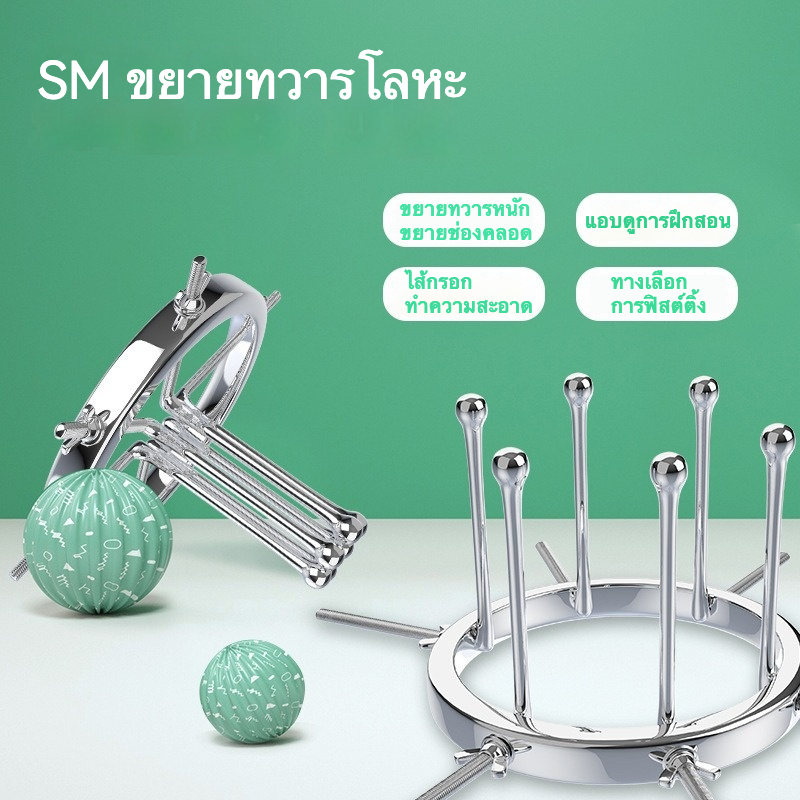 อุปกรณ์ขยายทวาร อุปกรณ์ขยายทางนรีเวชและทวารหนัก สำหรับการศึกษาด้านสรีรวิทยา