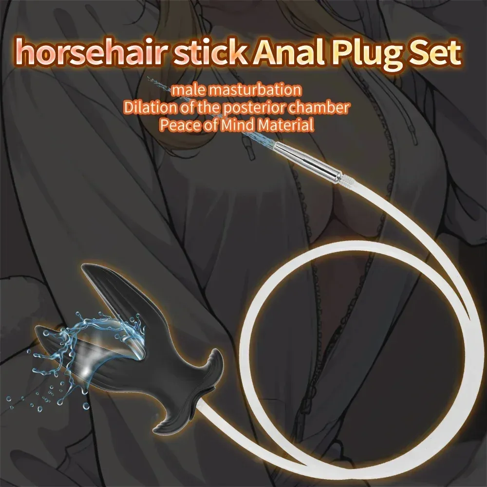 Detachable Urethral Sound & Butt Plug Set Urine Infusion