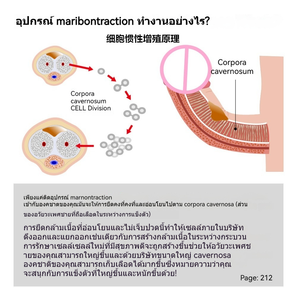 Penis Extender ฝึกยืดขยาย ควบคุมการยืดออก การฝึกยืดกล้ามเนื้อ ทำงานด้วยแรงดันลบ ปรับระดับความแรงได้-sextoyfunny