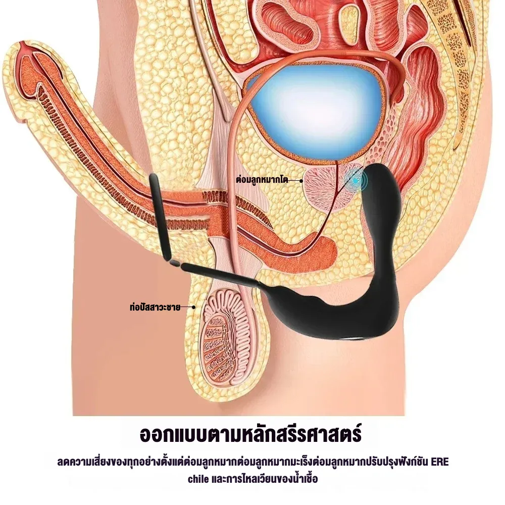 ของเล่นประตูหลัง เครื่องนวดต่อมลูกหมาก มอเตอร์คู่ ดีไซน์วงแหวนคู่