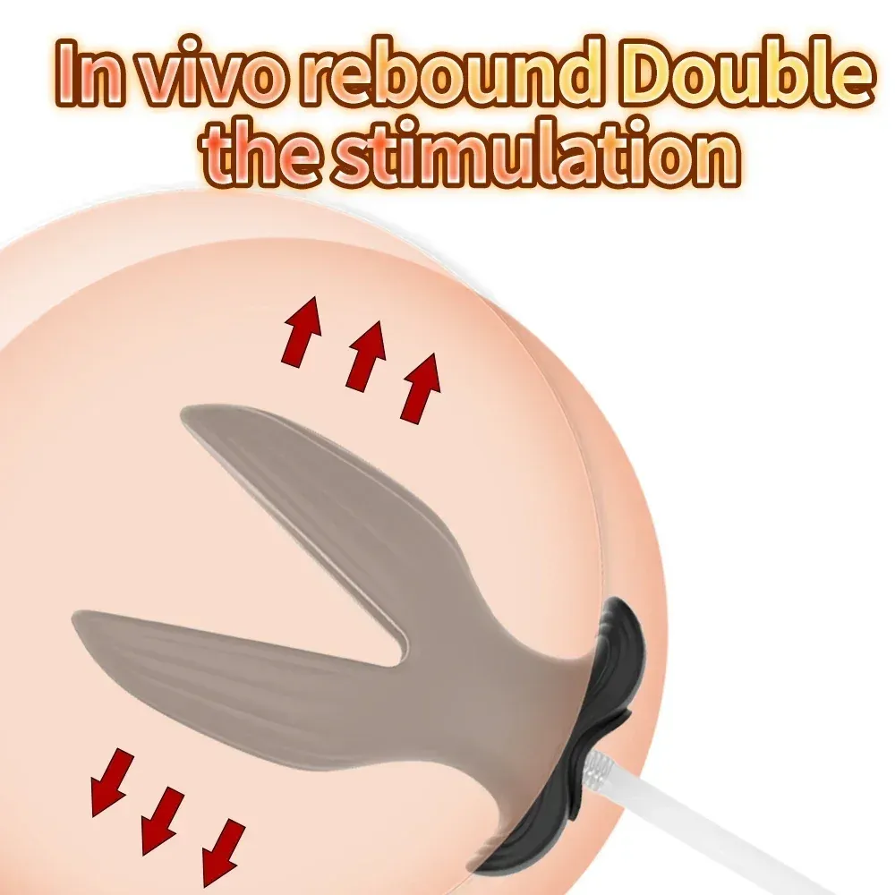 Detachable Urethral Sound & Butt Plug Set Urine Infusion